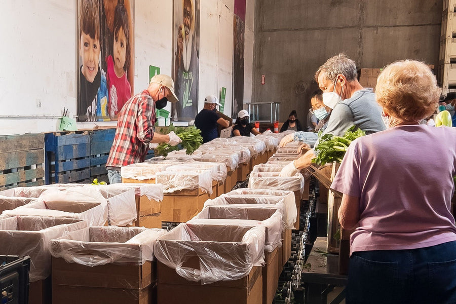 Hauslane Partners with San Francisco-Marin Food Bank for Successful Charity Campaign