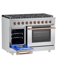 Load image into Gallery viewer, filterConfiguration = {
colors: [&#39;Rose Gold&#39;]
}