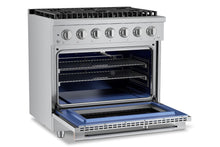 Load image into Gallery viewer, filterConfiguration = {
colors: [&#39;Stainless Steel&#39;]
}